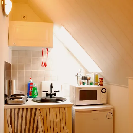 Ferienwohnung Ratisbona 레겐스부르크