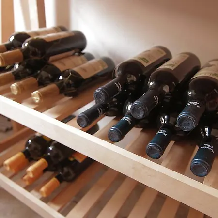 拉提斯博纳公寓 公寓 雷根斯堡