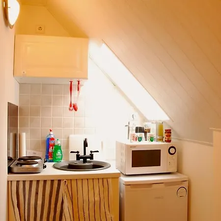 公寓 拉提斯博纳公寓 雷根斯堡